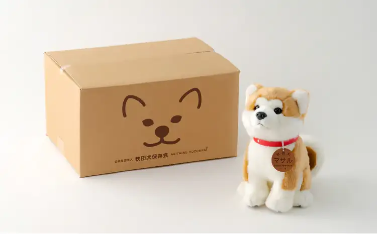 65P7302 秋田犬マサルぬいぐるみ　座りＭサイズ【秋田犬保存会】