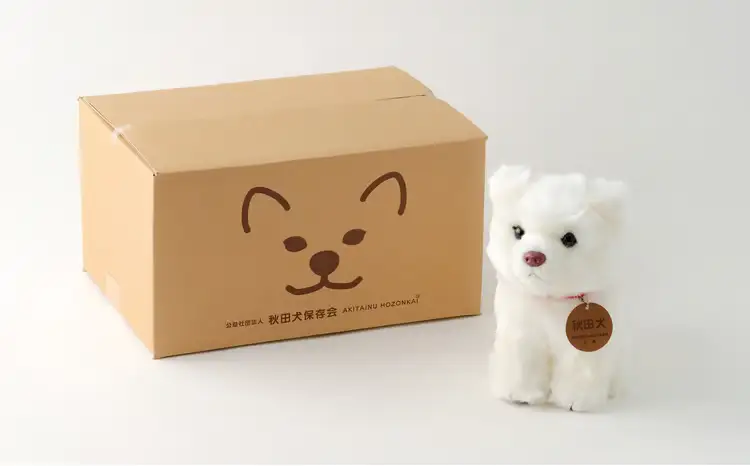 65P7305 秋田犬白毛(鼻ピンク)ぬいぐるみ　座りＭサイズ【秋田犬保存会】
