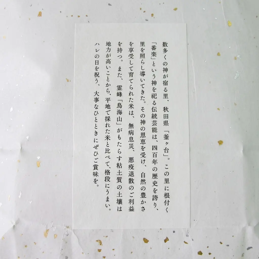 あきたこまち ひの米 精米 秋田県産 あきたこまち【2kg×5回 計10kg】【定期便】