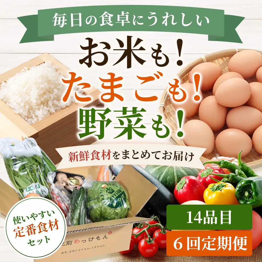   【6ヶ月お届け】肥前の国の農産物大満足定期便 H-10