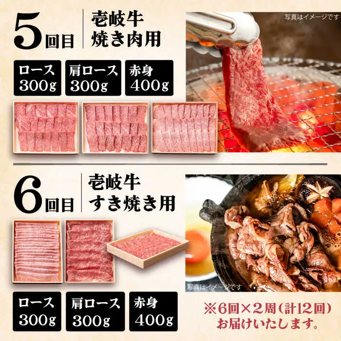 【全12回定期便】《A4-A5ランク》壱岐牛 満足定期便 [JBO082] 和牛 黒毛和牛