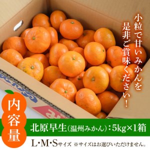 【先行予約】鹿児島県産 温州みかん（北原早生）約5kg みかん【01-039-05】