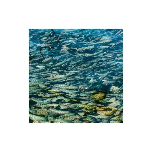 【奈良県下北山村産】桜薫るあまごの燻製 アマゴ 川魚 燻製 お酒