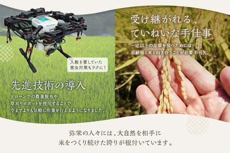 【令和7年産】弥栄町産特別栽培米「秘境奥島根弥栄」こしひかり（玄米）30kg 米 お米 玄米 特別栽培米 新生活 応援 準備 ごはん お取り寄せ 特産 【090_1883】