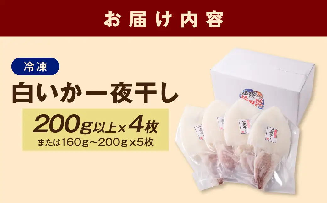 大きな「白いか一夜干し（4枚～5枚）」 白いか 一夜干し 干物 干もの 御中元 御歳暮 ギフト 新鮮 厳選 海鮮 セット 個包装 魚介類 【136_1998】