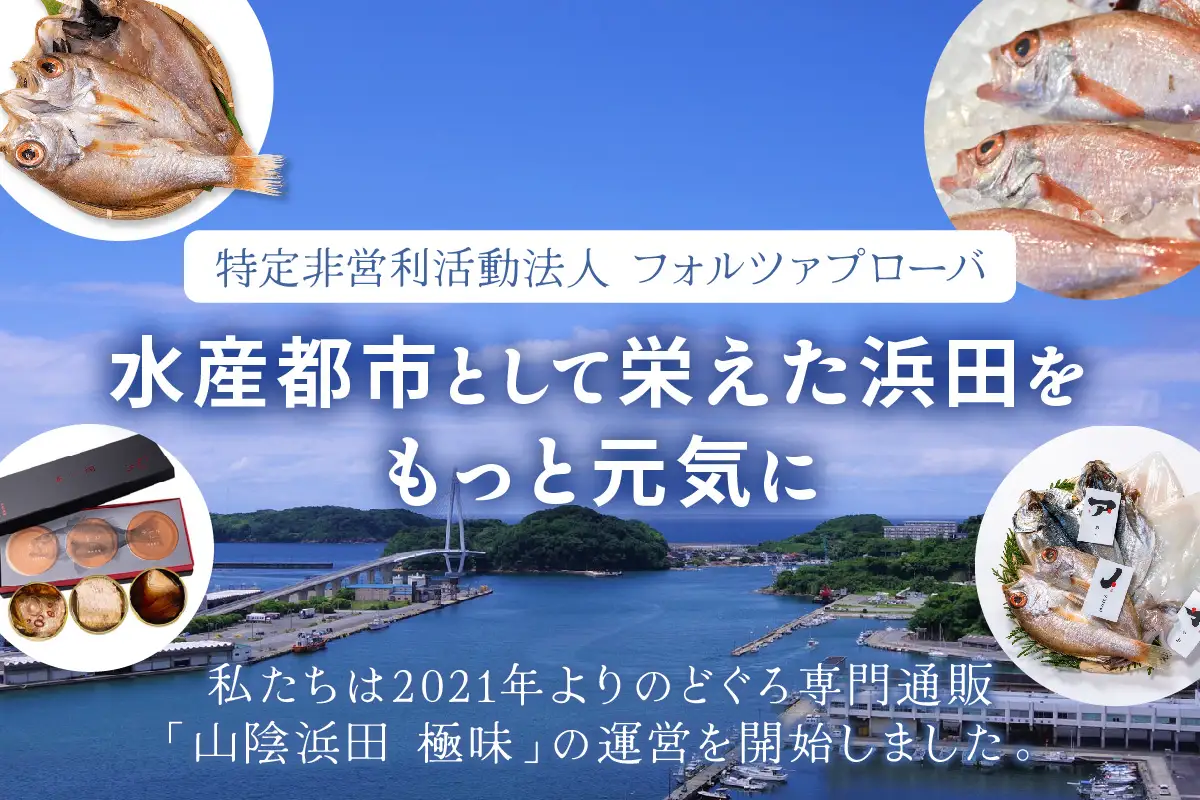 山陰浜田極味 シロイカ（ケンサキイカ）一夜干し5枚入り【164_1826】