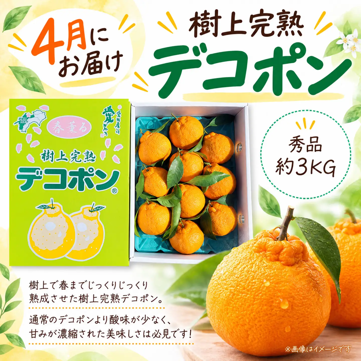 【12月開始】かんきつ定期便（全4回）【紅まどんな 甘平 アンコール デコポン】まどんな
