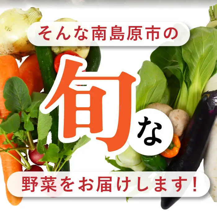 季節の野菜 15種類 セット 旬 産地直送 詰め合わせ / 野菜 やさい 新鮮 野菜セット / 南島原市 / ふるさと企画 [SBA023]