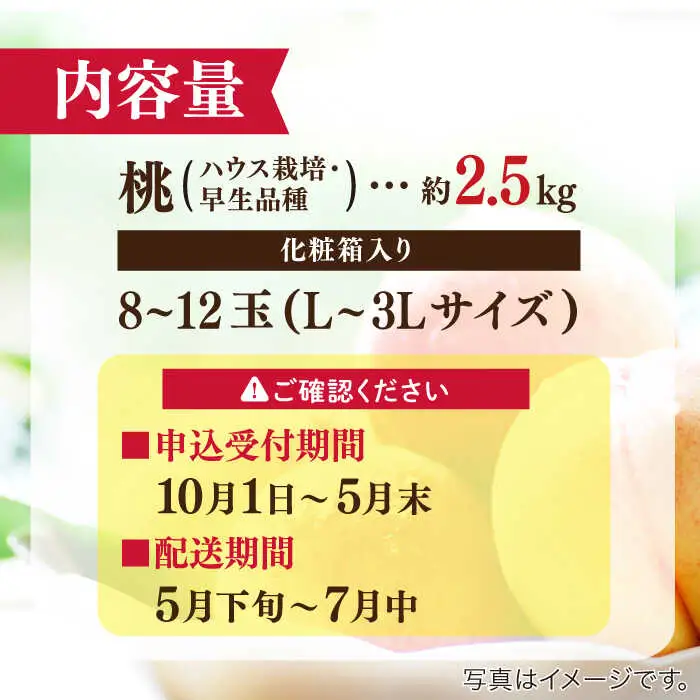 【2027年5月下旬-発送】桃 特別栽培ハウスもも 約2.5kg 化粧箱入り  / 桃 もも モモ フルーツ 果物 旬 / 南島原市 / ふくはちファーム / 福島農園 [SBS006]