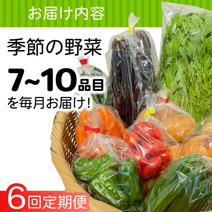 【6回定期便】直売所より発送！季節の野菜セット 7?10品目 / 野菜定期便 / ながさき南部生産組合 [SBW004]