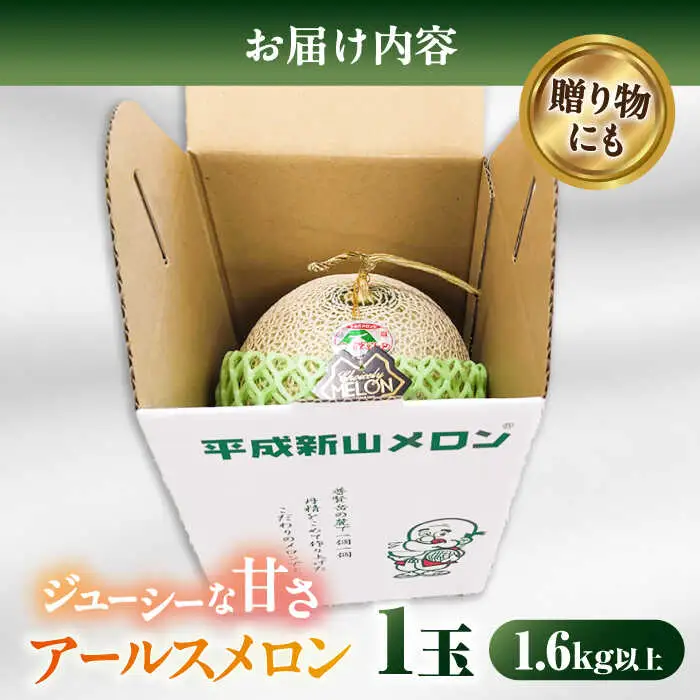 【2026年7月下旬-発送】【平成新山メロンPREMIUM（とみちゃん厳選）】アールスメロン 1玉 / メロン めろん 青肉 糖度 果物 くだもの フルーツ ふるーつ 旬 高級 ギフト / 南島原市 / うえだメロン園 [SAD005]