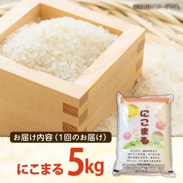 【12回定期便】 長崎県産 精米 にこまる 5kg [SDR004] 米