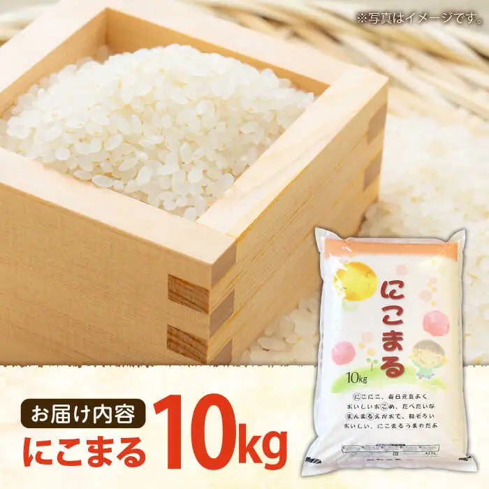 にこまる10kg / 米 お米 精米 白米 / 大松屋商店 [SDR005]
