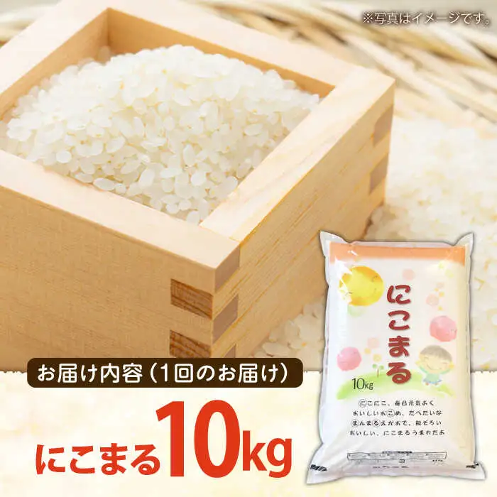 【 12回定期便 】 長崎県産 精米 にこまる 10kg 総計 120kg / 南島原市 / 大松屋商店 [SDR008]