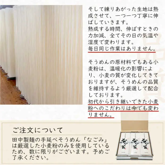 【田中製麺】 島原手延そうめん なごみ 5束×2袋 (500g) / そうめん 島原 手延べ 素麺 麺 乾麺 上級品 / 南島原市 / 贅沢宝庫 [SDZ004]