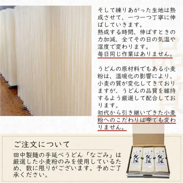 【田中製麺】 島原手延べうどん なごみ 50g×30束 1.5kg / コシが強い うどん 細麺 麺 乾麺 ギフト / 南島原市 / 贅沢宝庫 [SDZ011]