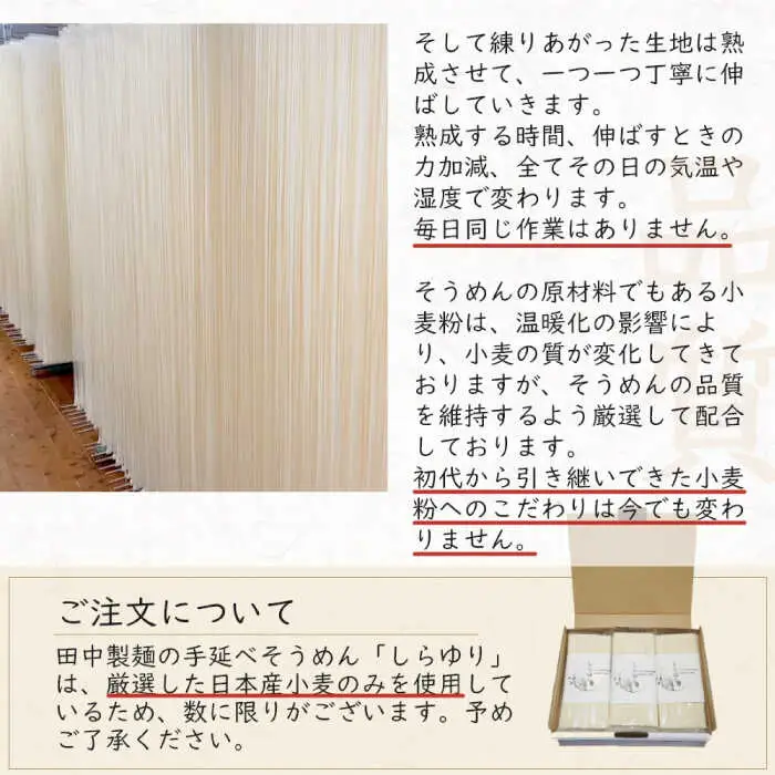＜TVで話題！＞【国産 小麦 100%】 【ノンオイル製法】島原手延べそうめん しらゆり 50g×10束 500g  / そうめん 島原 手延べ 素麺 麺 乾麺 ギフト 田中製麺 / 南島原市 / 贅沢宝庫 [SDZ013]