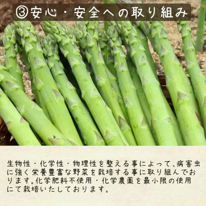 【2027年8月-発送】【生で食べられる】スイートアスパラ L-3L 約1.5kg [SDZ014] アスパラ