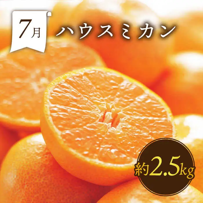 【6回定期便 奇数月コース】フルーツ 定期便 [SDZ021]