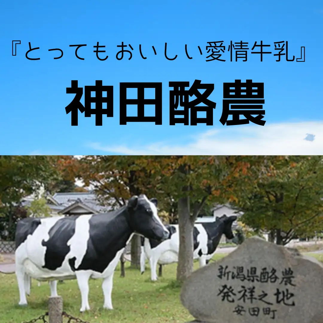 ソフトクリーム「子牛のきもち・ミルク」６個セット 新潟 阿賀野 神田酪農 やすだ愛情牛乳 みるぱす アイス アイスクリーム ミルク スイーツ 冷凍 2K02009