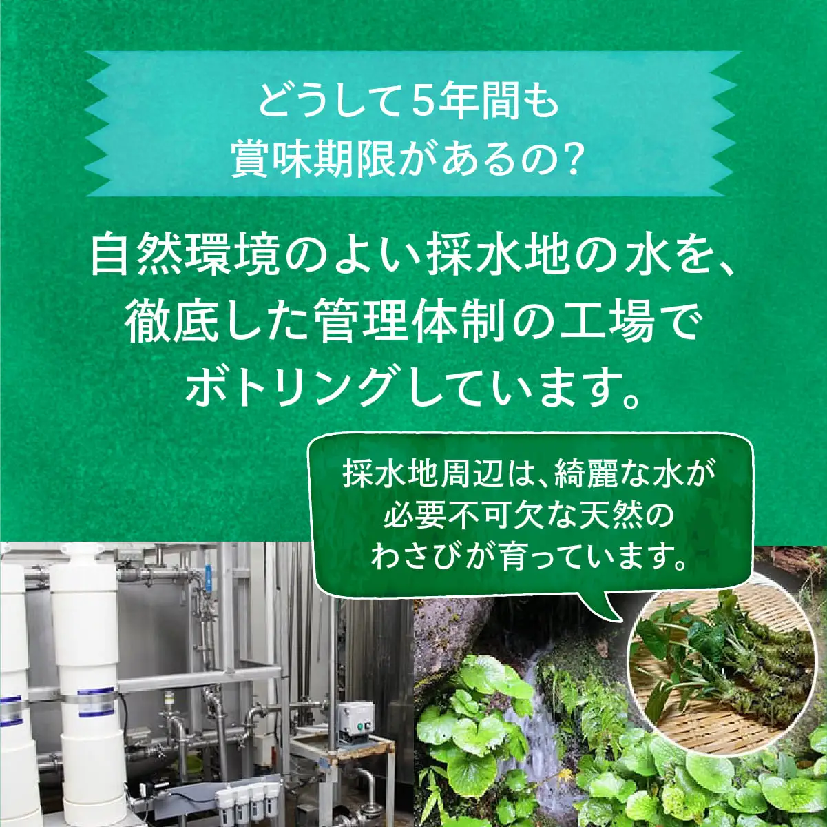 【水】秩父の保存水 2L×20本 | 水 ミネラルウォーター