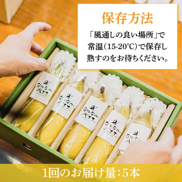 【3回定期便】【皮ごと食べられる！】なかなかバナナ  5本〈7月-9月は発送停止〉 / バナナ フルーツ 果物 定期便 フルーツ定期便 / 南島原市 / ミナサポ [SCW035]