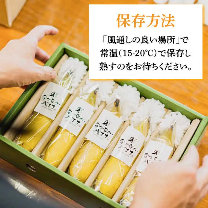 【皮ごと食べられる！】なかなかバナナ 5本 / バナナ フルーツ 果物 定期便 フルーツ定期便 / 南島原市 / ミナサポ [SCW036]