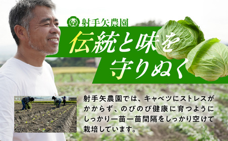 【先行予約】射手矢さんちの泉州キャベツ 20kg