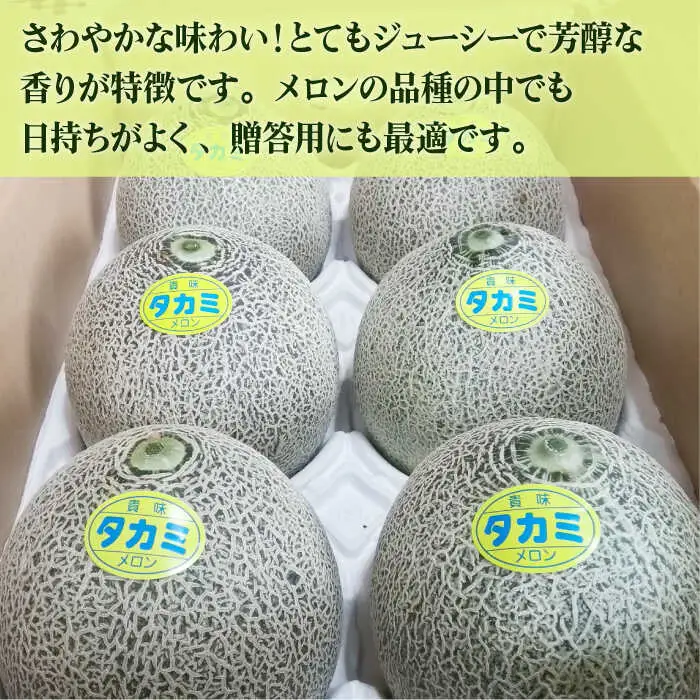【2026年11月-発送】【3回定期便】フルーツ定期便 旬のフルーツをセット / プリンスメロン タカミメロン 温州みかん（3品種各1回）/ メロン みかん フルーツ 詰め合わせ 南島原市 / 南島原果物屋 [SCV003]