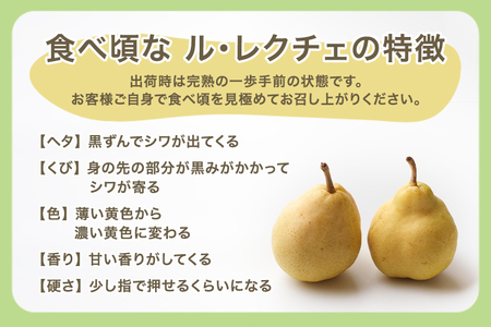 【2026年先行予約】新潟特産 幻の洋梨ル・レクチェ 家庭用 4kg（9～11玉）《11月下旬～順次発送》 青柳果樹園