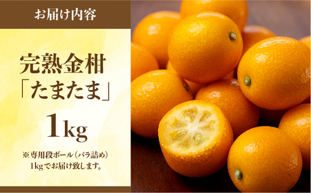 【先行予約】串間市産 完熟きんかん「たまたま」1kg（1kg×1箱）_K001-019