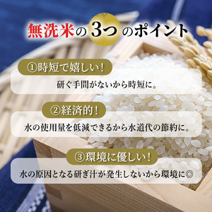 3ヵ月定期便 北海道産ゆめぴりか 10kg 無洗米 ゆめぴりか