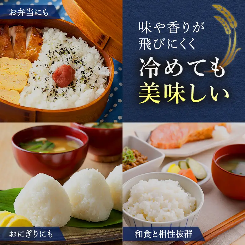 ゆめぴりか ななつぼし 無洗米 各5kg セット