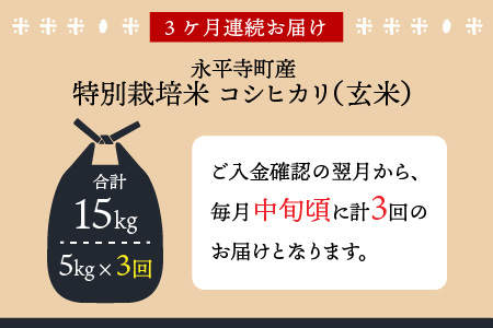3ヶ月定期便 玄米 令和7年度産 永平寺町産 農薬不使用・化学肥料不使用 特別栽培米 コシヒカリ 5kg×3ヶ月 計15kg  ５キロ 5kg 米  米 お米 コメ 送料無料 こしひかり 福井