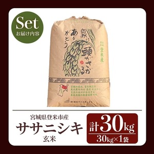 ≪令和8年産≫ ササニシキ 玄米 30kg 登米市産 お米 おこめ 米 コメ ささにしき ご飯 ごはん おにぎり お弁当 【登米ライスサービス株式会社】tm150