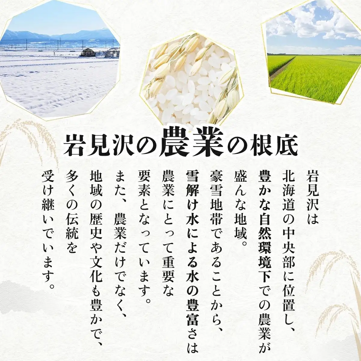 ＜令和8年産＞お米 ゆめぴりか20kg｜『100%自家生産精米』善生さんの自慢の米 北海道 岩見沢市 精米 白米 新米【a104-107】【06129】