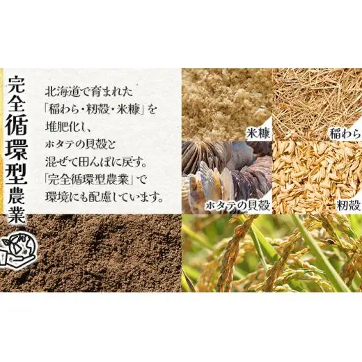 《令和 7 年産》お米 おぼろづき 20kg｜『100%自家生 産精米』善生さんの自慢の米 ※一括発送 北海道 岩見沢市【06135】 