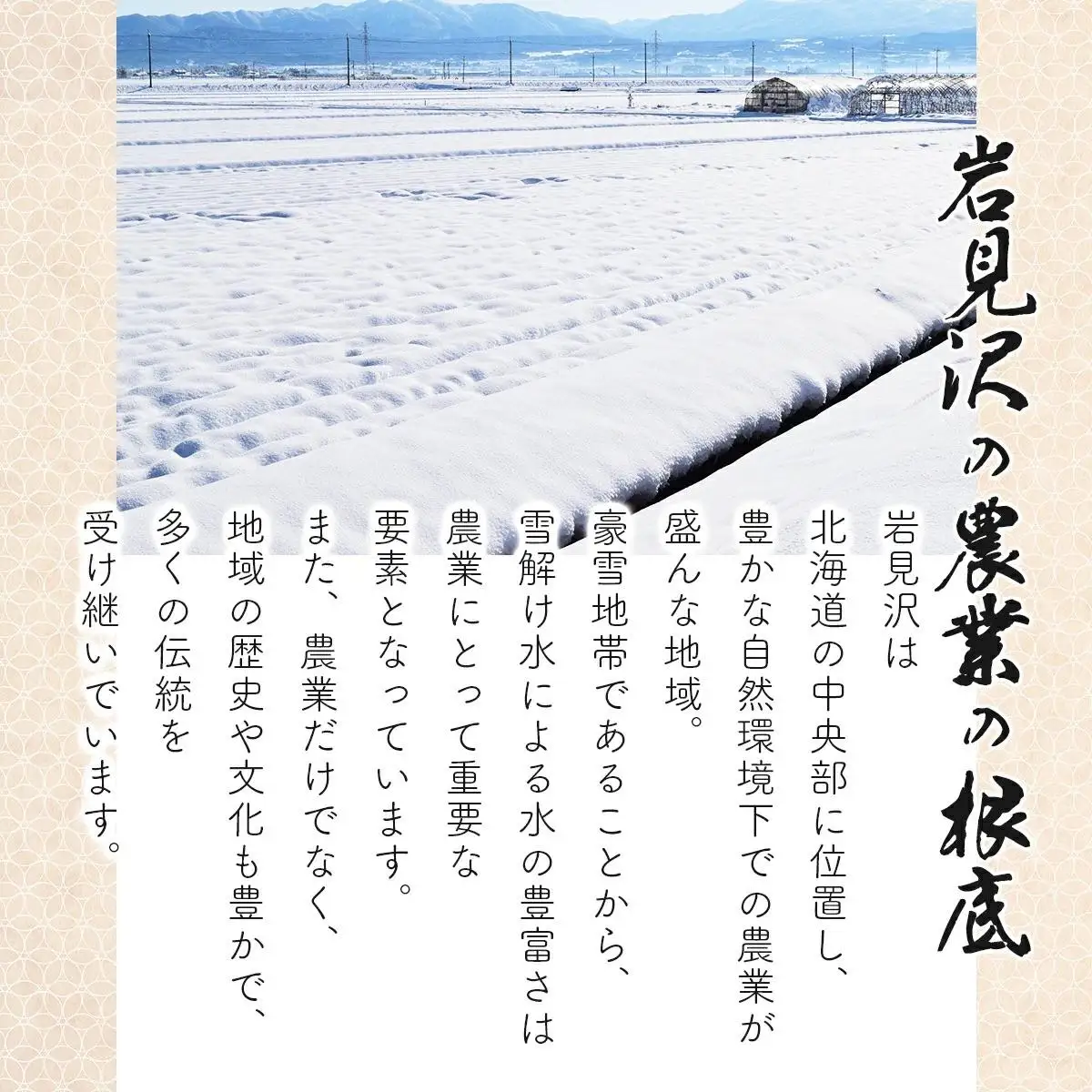＜令和8年産＞『100%自家生産玄米』善生さんの自慢の米 玄米ゆめぴりか 40kg｜北海道 岩見沢市 お米 新米【a104-090】【06142】