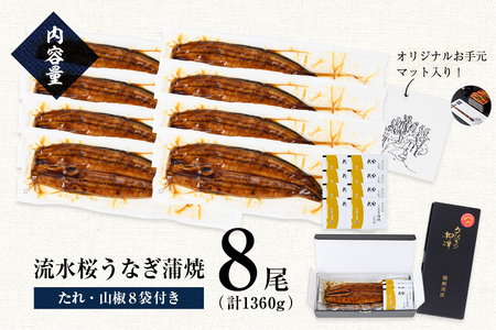 柳澤 流水桜 うなぎ 蒲焼き 8尾(計1360g)  f0-023