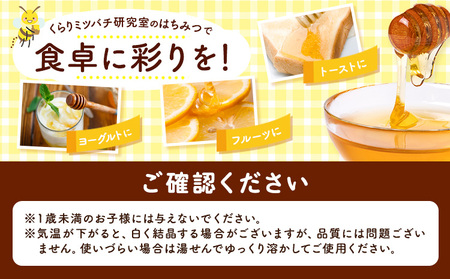 6月のはちみつ 540g KURARI くらりミツバチ研究室《90日以内に出荷予定(土日祝除く)》和歌山県 紀の川市 蜂蜜 ハチミツ 非加熱 純正生はちみつ トースト ヨーグルト st-p