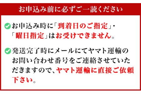 米 にじのきらめき 13kg (5kg×2袋+3kg)【茨城県下妻市産】【米 にじのきらめき 米 茨城 米 茨城県産 米 産地直送 米 JA 新品種 おにぎり お弁当 精米 ストック お米 もちもち 人気 おすすめ】