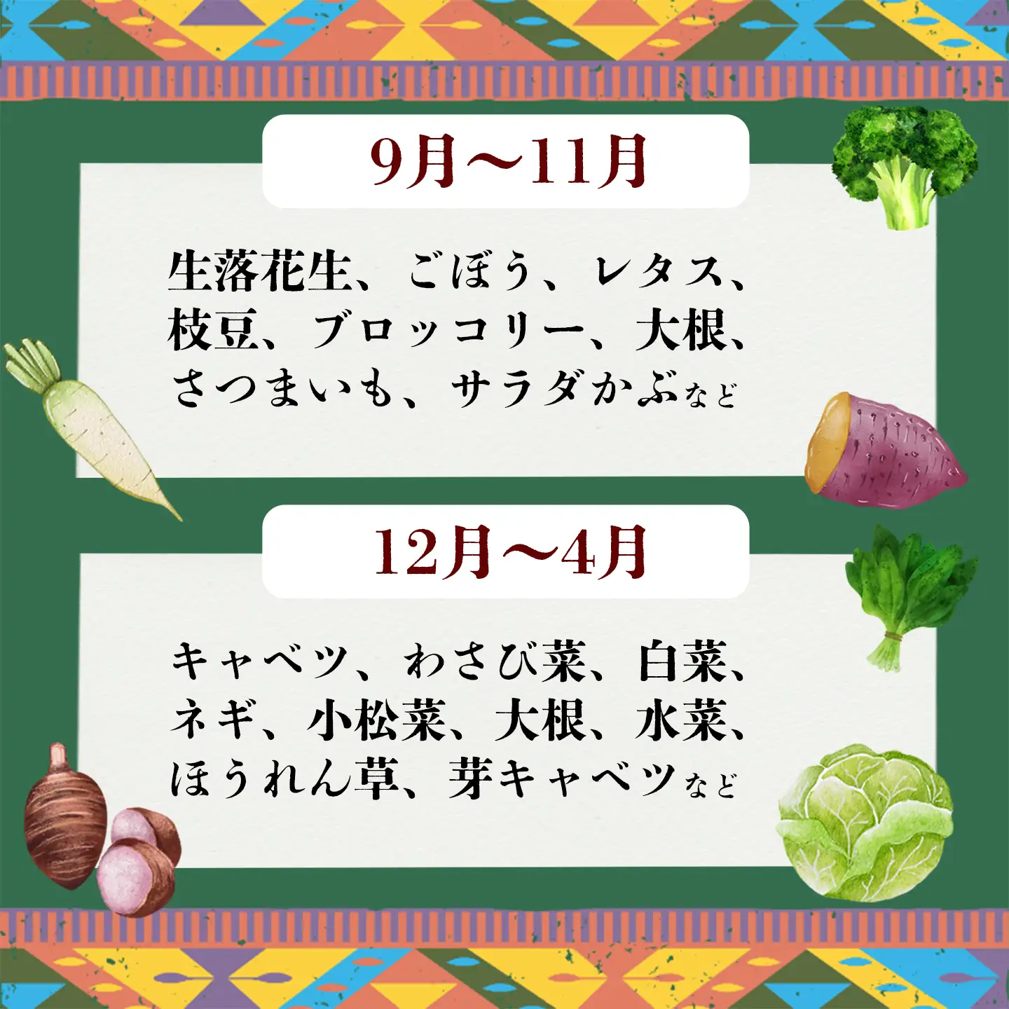 野菜 無農薬 農園自慢の情熱野菜セット 9種 【 12ヶ月 連続 お届け 】 