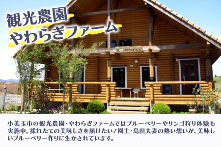 小美玉ブルーベリーワイン1本＆ブルーベリージャム4個セット ブルーベリー ワイン ブルーベリーワイン ジャム ブルーベリージャム フルーツ 果物 ビタミンE アントシアニン 栄養 目にいい 健康 美容 ギフト 贈り物 茨城県産 プレゼント セット お酒 9-B