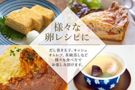 伊勢の卵 赤玉ギフト（6個×4パック） 22-B