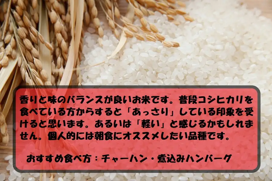 令和7年産 茨城あきたこまち 10kg 5kg×2袋 あきたこまち 白米 精米 ごはん お米 国産 茨城県産 守谷市 送料無料