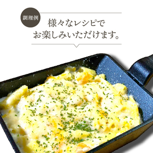 南部鉄器 玉子焼 【及精鋳造所作】 伝統工芸品 鉄フライパン キッチン用品 食器 日用品 調理器具 アウトドア キャンプ用品 [Y0110]