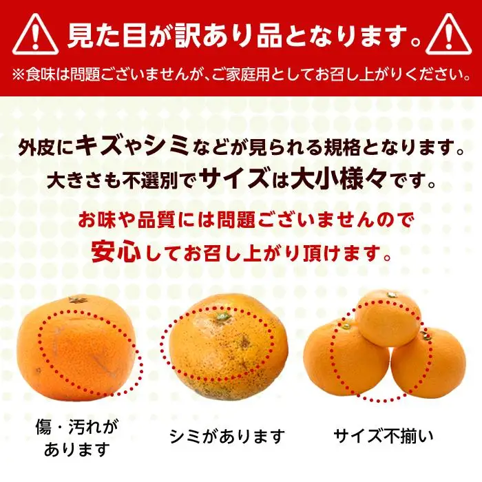 和歌山県産 糖度 12.5度以上 訳あり みかん 3kg 3S ～ Lサイズ混合【NY4w】