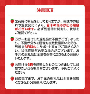 【2027年1月より順次発送】あまおういちご_いちご あまおう 2パック 2箱 計4パック 果物 フルーツ 産地 福岡 久留米 九州産 長尾農園 ストロべリー 甘い スムージー いちごジャム お取り寄せ お取り寄せフルーツ 食品 食べ物 おやつ お菓子作り 送料無料 〔Fi047〕