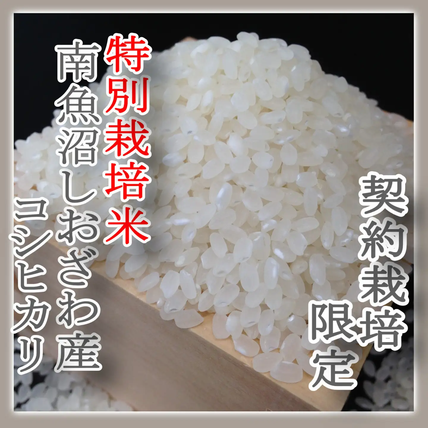 【令和7年産】※定期便：6Kg×3ヶ月※特別栽培 生産者限定  南魚沼しおざわ産コシヒカリ【定期便 銘柄米 ブランド米 精米 こしひかり コシヒカリ 魚沼産 新潟米 産地直送 お米 米 こめ コメ ご飯 御飯 ごはん】