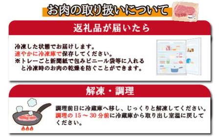 A5等級 宮崎牛 ヒレステーキ 160g×4枚セット ステーキ 